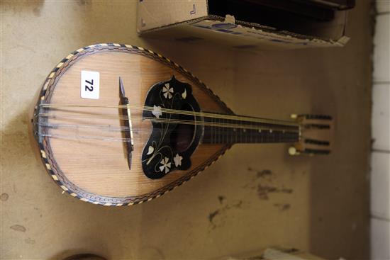 Mandolin